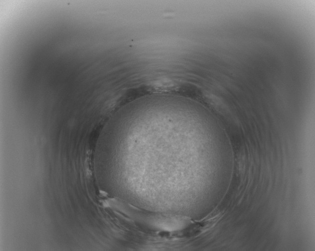 X0000067511346200604150123