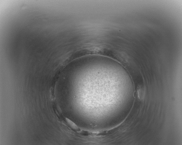 X0000067511347200604150123