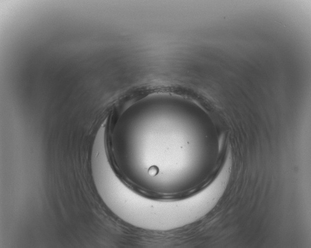 X0000067511348200604150123