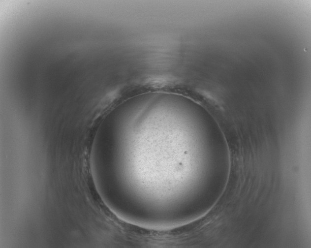 X0000067511349200604150123