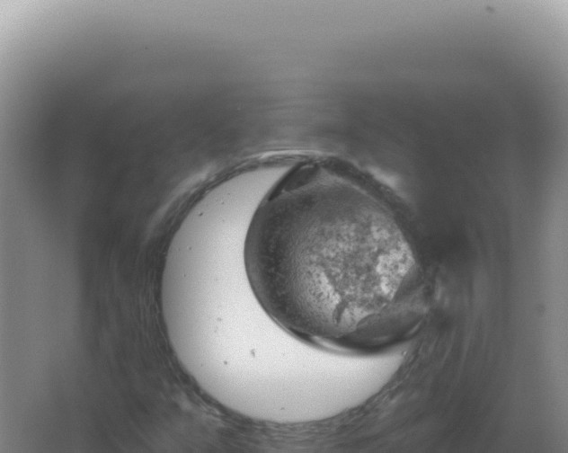 X0000067511351200604150123