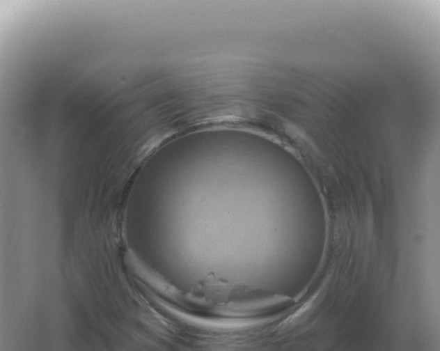 X0000067511353200604150123