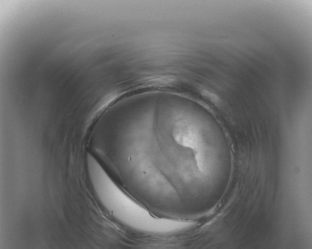 X0000067511354200604150123