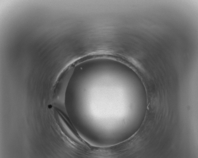 X0000067511356200604150123