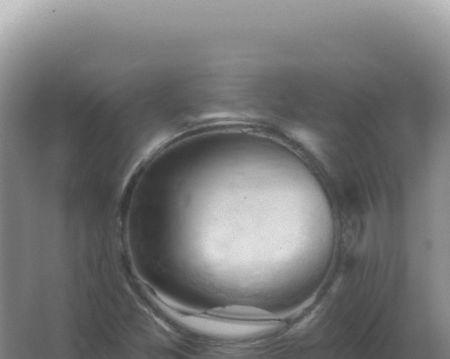 X0000067511357200604150123