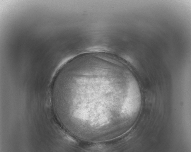 X0000067511358200604150123