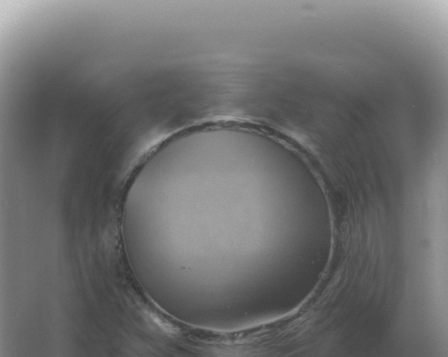 X0000067511359200604150122