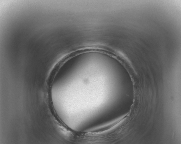 X0000067511360200604150122