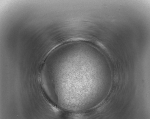 X0000067511361200604150122