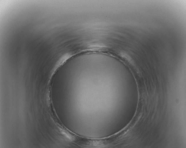 X0000067511362200604150122