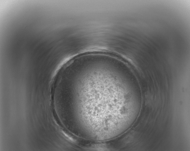 X0000067511363200604150122