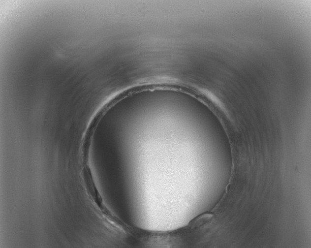 X0000067511364200604150122