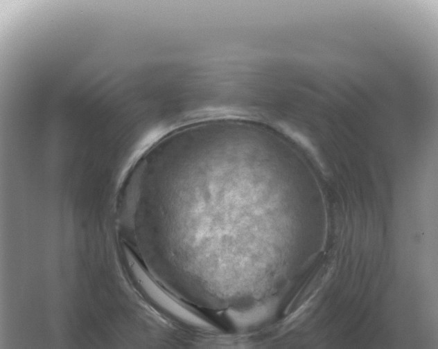 X0000067511365200604150122