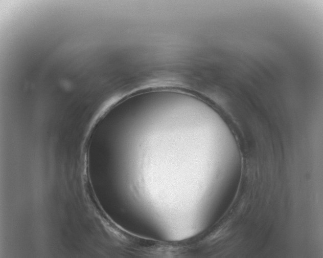 X0000067511366200604150122