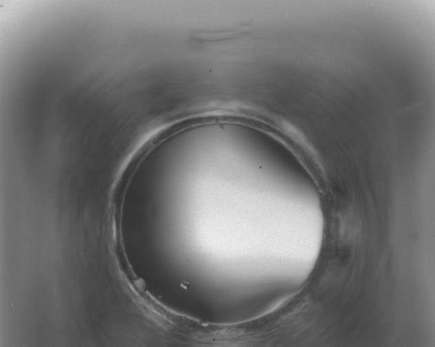 X0000067511368200604150122