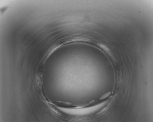 X0000067511369200604150122