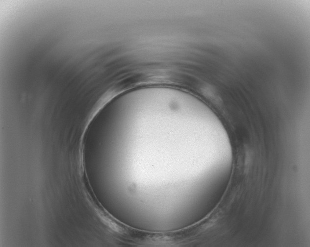 X0000067511370200604150122