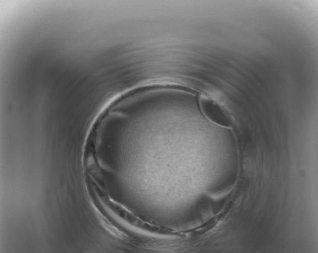 X0000067511372200604150122