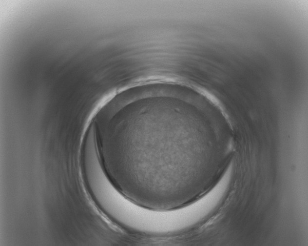 X0000067511373200604150122