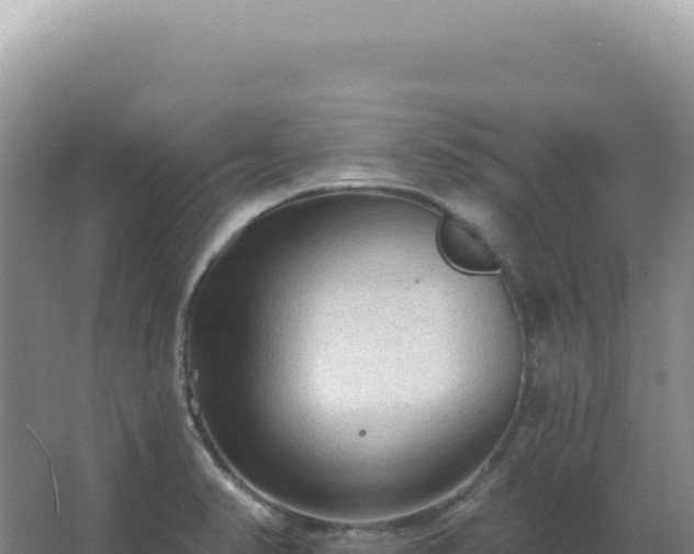 X0000067511374200604150122