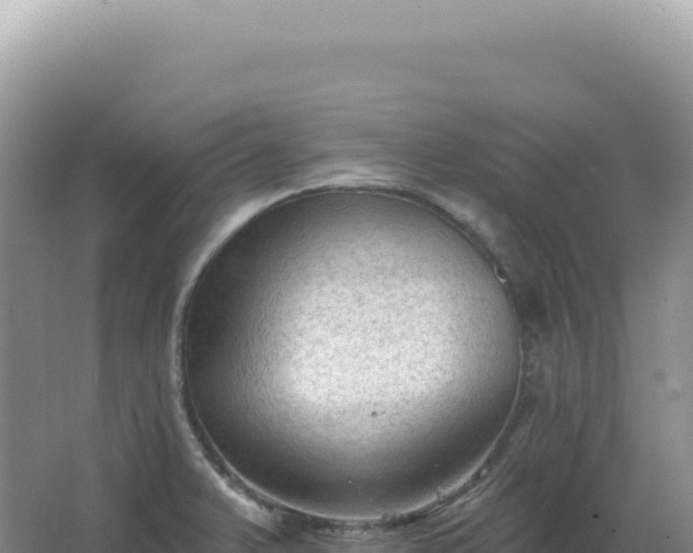 X0000067511375200604150122