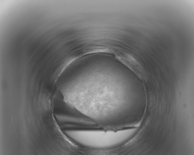 X0000067511377200604150122