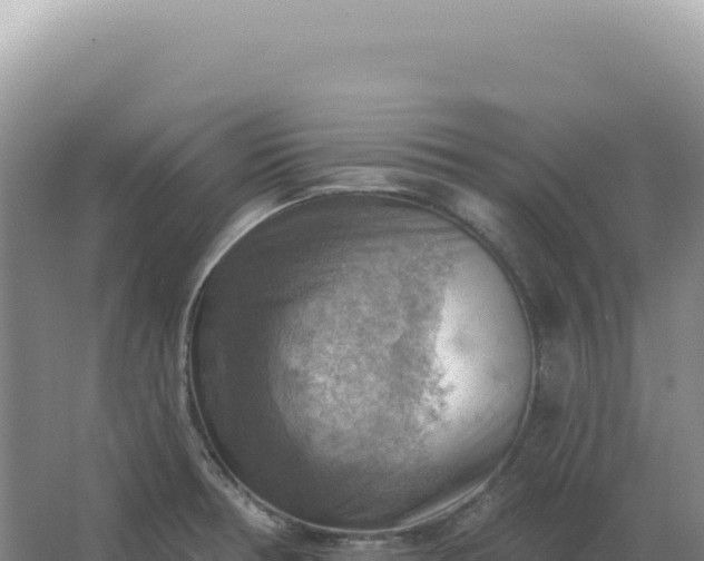 X0000067511378200604150122