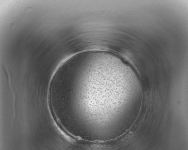 X0000067511379200604150122