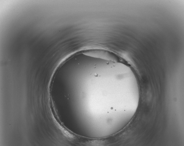 X0000067511380200604150122