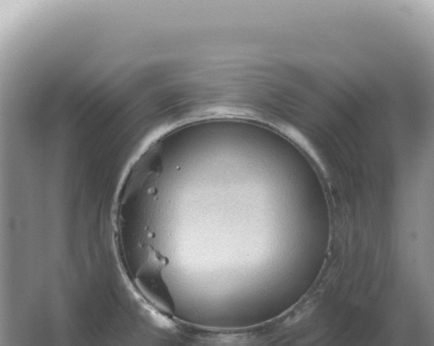 X0000067511381200604150122