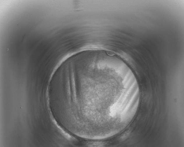 X0000067511382200604150122