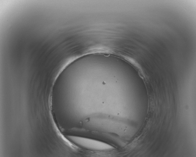 X0000067511383200604150122