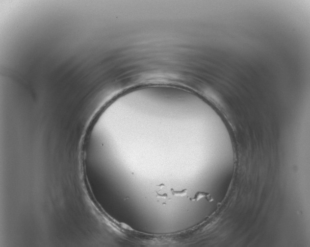 X0000067511384200604150122