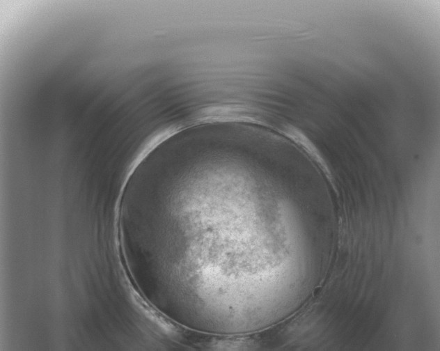 X0000067511386200604150122