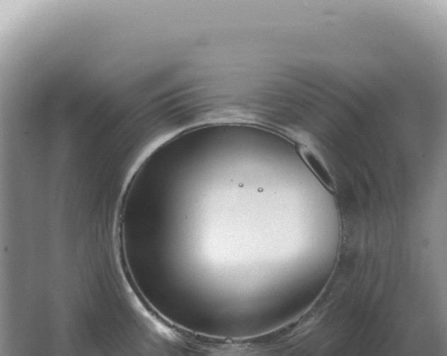 X0000067511387200604150122