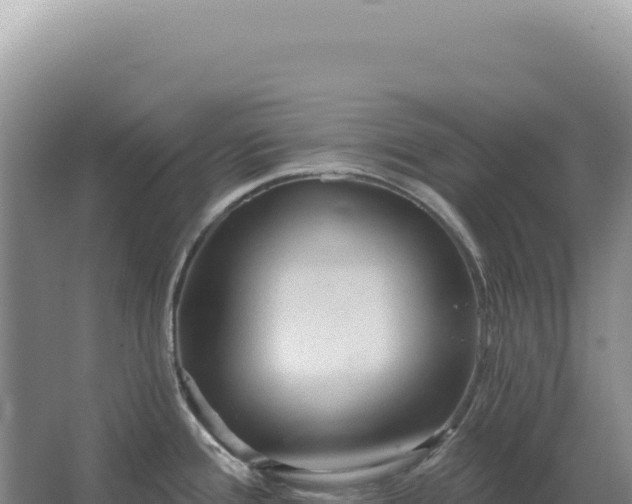 X0000067511388200604150122