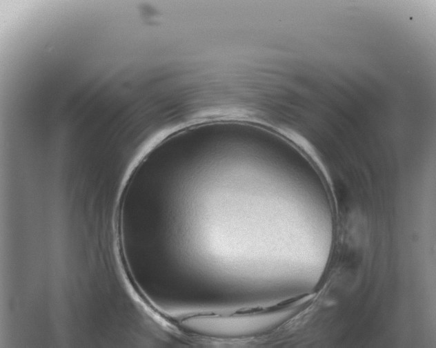 X0000067511389200604150122