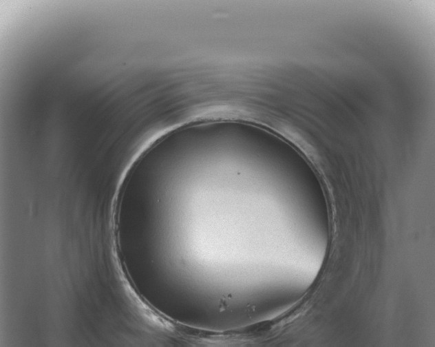 X0000067511392200604150122