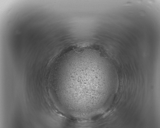 X0000067511393200604150121