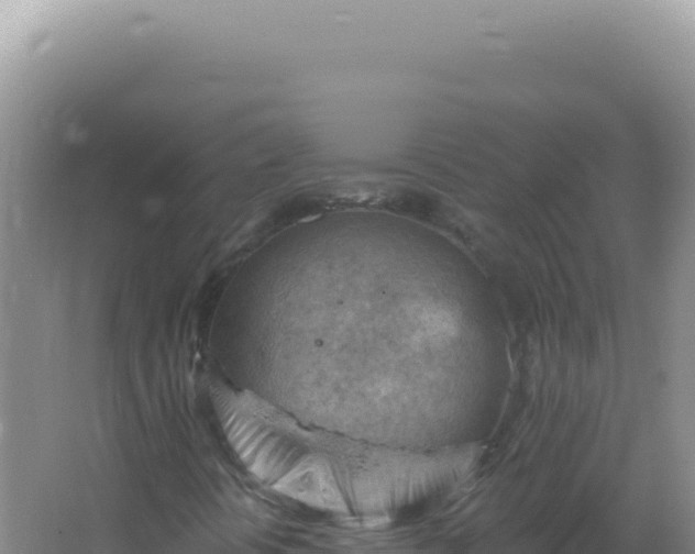 X0000067511394200604150121