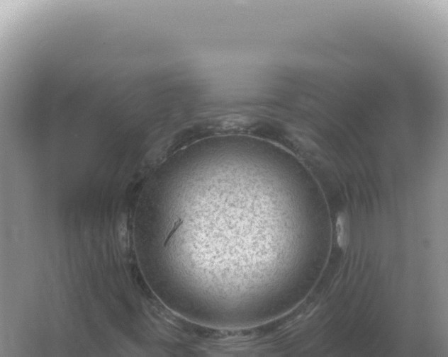 X0000067511395200604150121