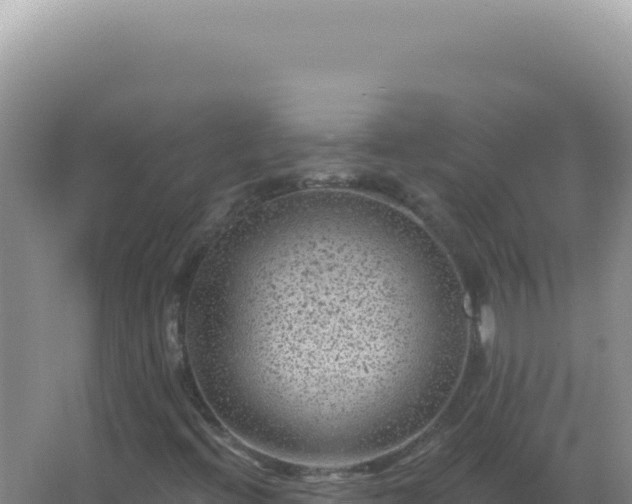 X0000067511396200604150121