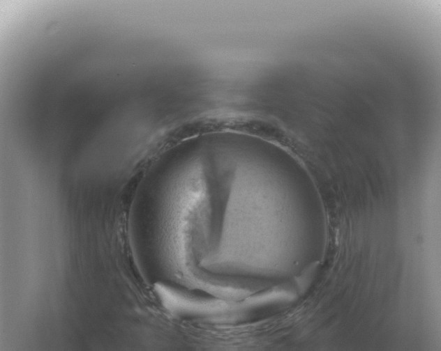 X0000067511397200604150121