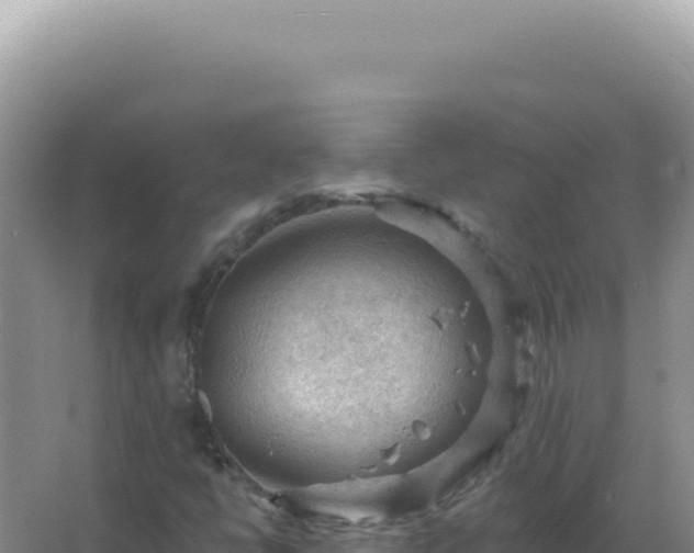 X0000067511398200604150121