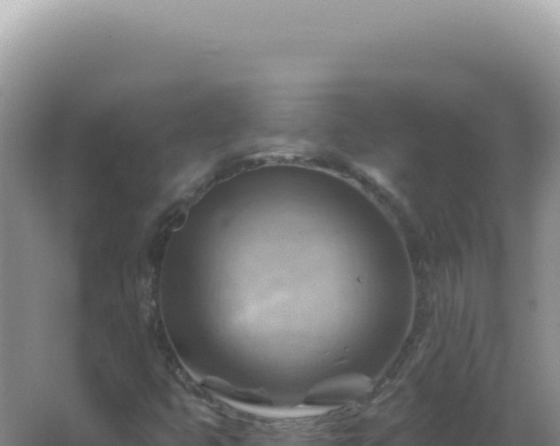 X0000067511399200604150121