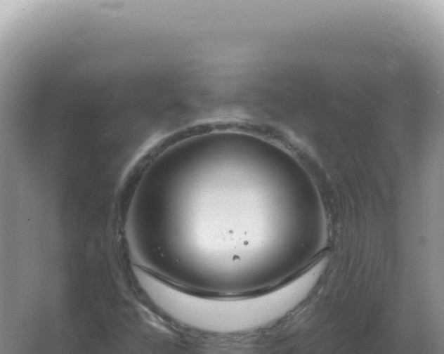 X0000067511400200604150121