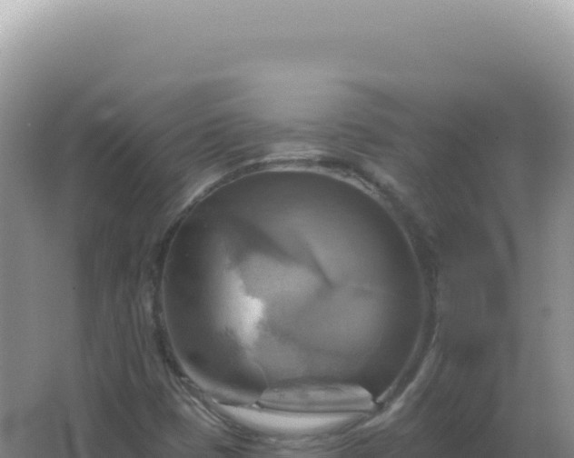 X0000067511401200604150121