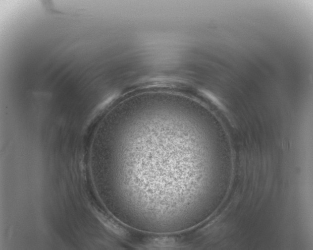 X0000067511403200604150121