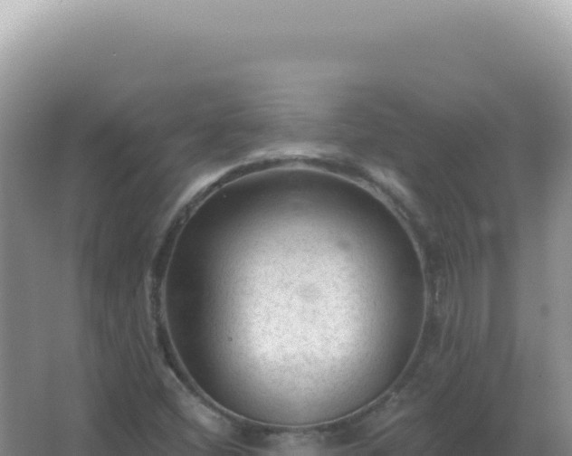 X0000067511404200604150121