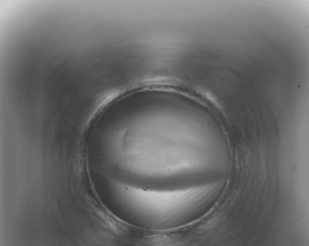 X0000067511405200604150121